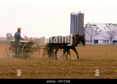 Amische Bauer mit einem Pferd gezogenen Samen Pflanzer in Lancaster County, Pennsylvania. Stockfoto