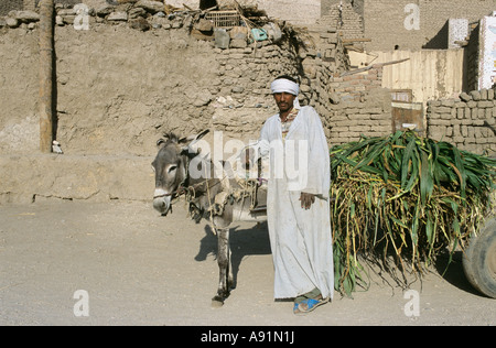 Eyptian Mann und Esel ziehen Karren in der Nähe von Luxor, Ägypten Stockfoto