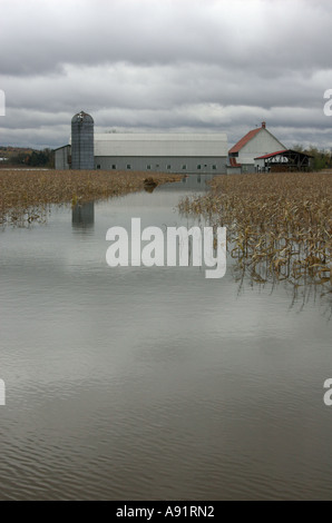 Überfluteten Ackerland und Gebäude Kanada Stockfoto