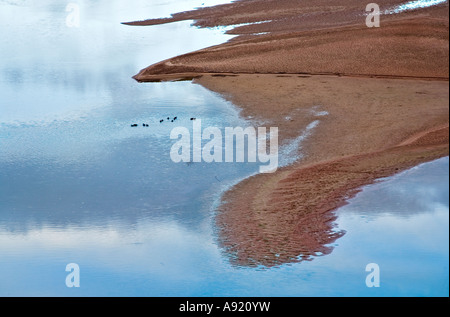 Colorado River an der Mündung des Lockhart Becken südöstlichen Utah Stockfoto