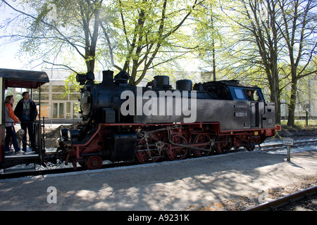 Historische Dampf Zug Molly Stockfoto