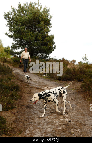Ein Mann nimmt seinen Hund für einen Spaziergang in Liphook Hampshire England 4. Mai 2006 Fotograf Rogan Macdonald Stockfoto