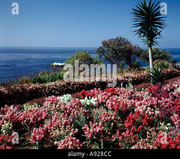 Waterfront übersehen bei Victor Hugo Gardens in Laguna Beach Kalifornien Stockfoto