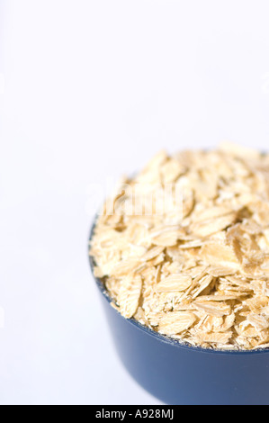 Brei Hafer Stockfoto
