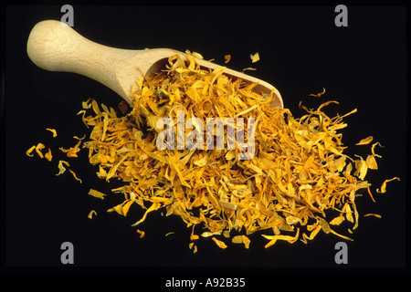 Calendula Officinalis, Ringelblume, Ruddles, gemeinsame Ringelblume, Garten-Ringelblume, englische Ringelblume Stockfoto