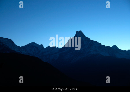 Machhapuchhre Berg in das blaue Licht des frühen Morgens Annapurna Region Nepal Stockfoto