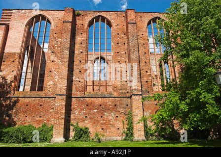 Ruinen des Klosters Johannis, Hansestadt Stralsund, Mecklenburg Western Pomerania, Deutschland, Europa Stockfoto