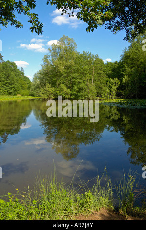 Schaichtal, Naturpark Schoenbuch, Baden-Württemberg, Deutschland, Europa Stockfoto