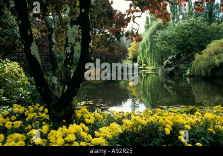 Herbstfarbe in Butchart Gardens Victoria Island British Columbia Kanada Stockfoto