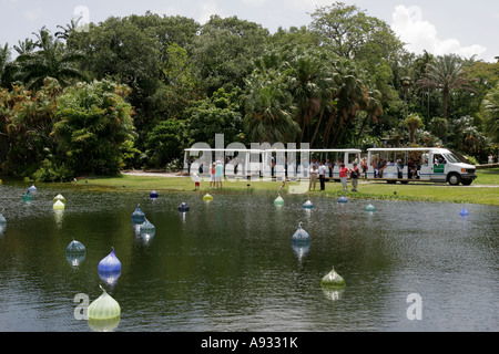 Miami Florida, Coral Gables, Fairchild Tropical Botanic Garden, botanisch, Chihuly Glaskunst, schwimmend, Teich, FL070527029 Stockfoto