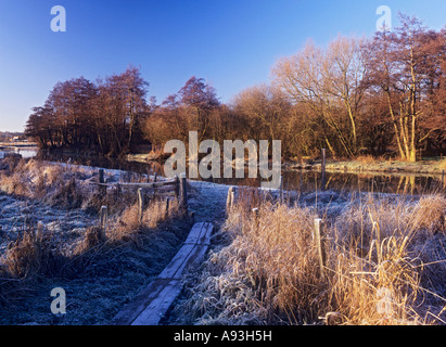 Weg zum Fluss Wey Navigation an einem frostigen sonnigen Wintermorgen Blick stromaufwärts zu Triggs Lock Surrey UK Stockfoto