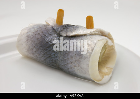 ROLLMOPS ROLLMOP auf einem weißen Teller roll Mops mop Stockfotografie
