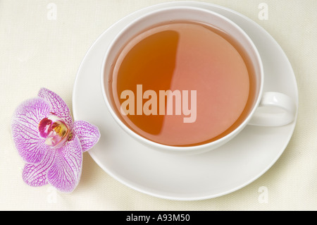 eine Tasse schwarzer Tee nah oben Foto einen Orchideen PHALAENOPSIS Service ruhig weiße Porzellanschale Stockfoto