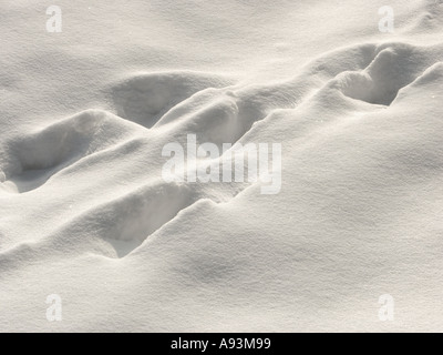 Fußspuren im Schnee Fuß druckt Füße Fußabdruck Winter kaltes Eis eisigen sonnig schönes Sonnenpuder Stockfoto