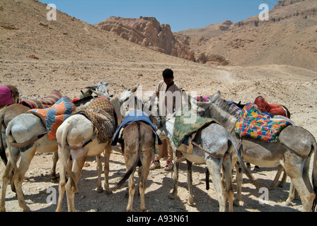 Gruppe auf einem Esel reiten, das Tal der Könige, West Bank, Luxor, Ägypten Stockfoto