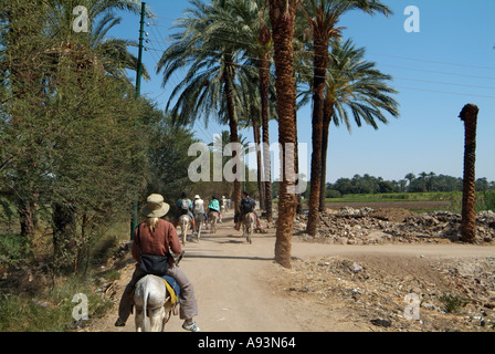 Gruppe auf einem Esel reiten, das Tal der Könige, West Bank, Luxor, Ägypten Stockfoto