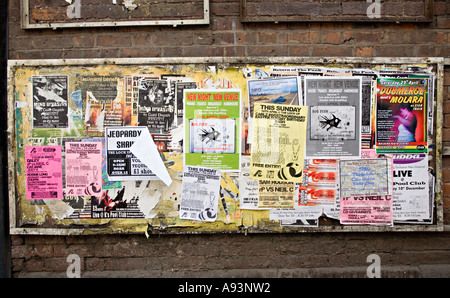 Zerrissen und schäbig Plakate geklebt zu einem verblichenen Board in einer Seitenstraße Hereford England UK Stockfoto