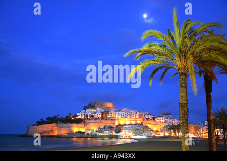 Reisen Sie Photograpy aus Palmen und die Burg von Peñiscola Costa del Azahar in Spanien die Provinz Castellón Castellon Stockfoto