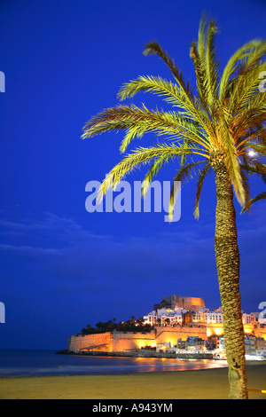 Reisen Sie Photograpy aus Palmen und die Burg von Peñiscola Costa del Azahar in Spanien die Provinz Castellón Castellon Stockfoto