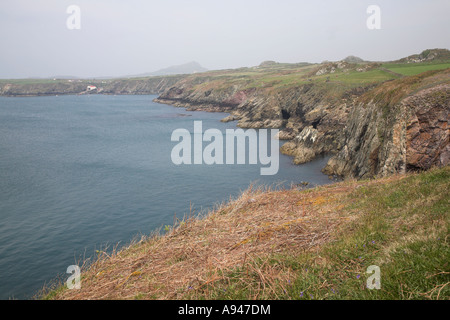 Küstenstadt Klippe Landschaft Ramsey Sound, St Davids, Pembrokeshire Coast National Park, Wales Stockfoto