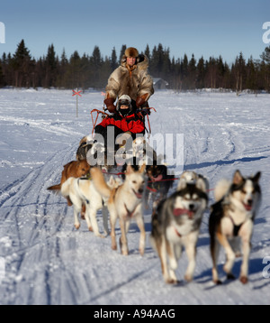 Touristen genießen Hundeschlitten-Tour, Schneehotel, Schweden Stockfoto