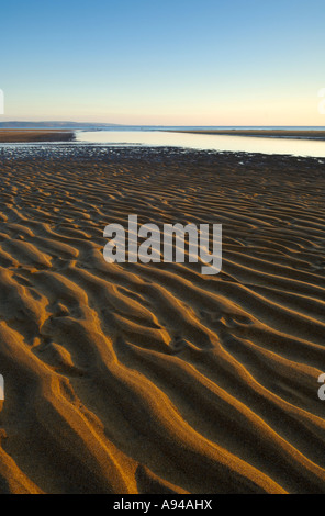Wellen von der zurückweichenden Flut an Sandymouth, Cornwall England verlassen. Stockfoto