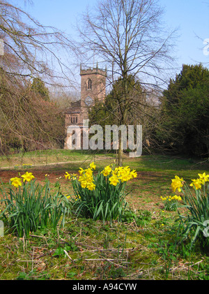 St. Marys Kirche Cromford Derbyshire mit Feder Narzissen in voller Blüte im Vordergrund Stockfoto