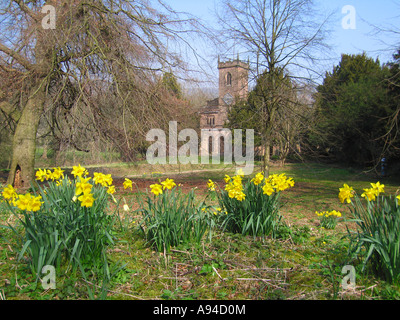 St. Marys Kirche Cromford Derbyshire mit Feder Narzissen in voller Blüte im Vordergrund Stockfoto