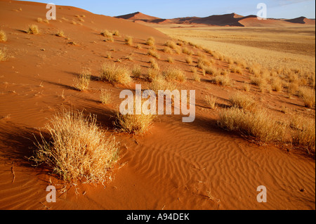 Dünen der Namib-Wüste-Sossusvlei-Namibia Stockfoto