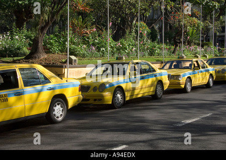 Gelbe Taxis Taxis Taxis, die am Taxistand im Stadtzentrum von Funchal Madeira Portugal EU Europa geparkt sind Stockfoto