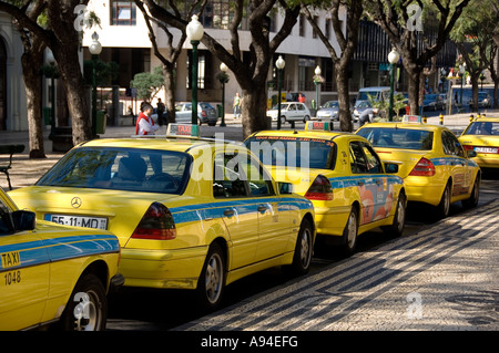 Gelbe Taxis Taxis Taxis, die am Taxistand im Stadtzentrum von Funchal Madeira Portugal EU Europa geparkt sind Stockfoto
