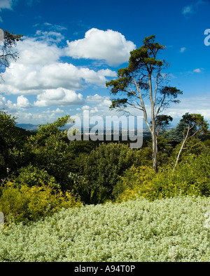 Blick auf Kapstadt von Kirstenbosch Gardens, Südafrika Stockfoto