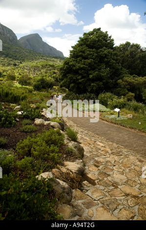 Ansicht von Kirstenbosch Gardens, Cape Town, Südafrika Stockfoto