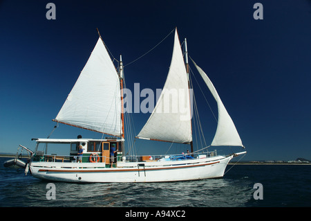 Privatyacht auf Reise Queensland Australien DCSA 3537 Stockfoto