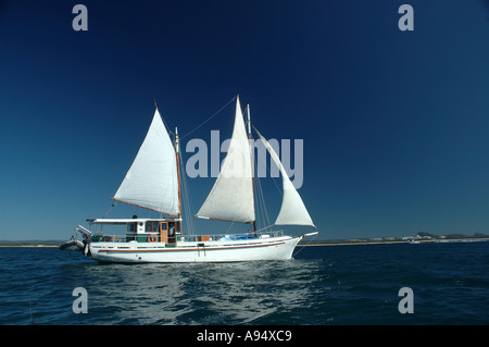 Privatyacht auf Reise Queensland Australien DCSA 3542 Stockfoto