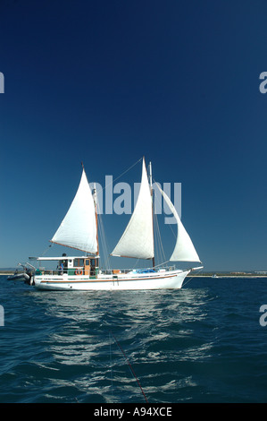 Privatyacht auf Reise Queensland Australien DCSA 3545 Stockfoto