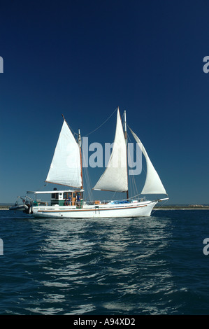 Privatyacht auf Reise Queensland Australien DCSA 3547 Stockfoto