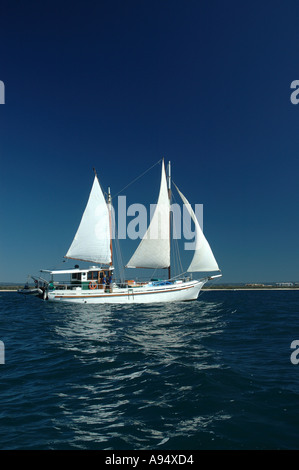 Privatyacht auf Reise Queensland Australien DCSA 3548 Stockfoto