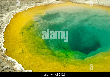 Der berühmte Morning Glory Pool im Yellowstone-Nationalpark, Wyoming, USA Stockfoto