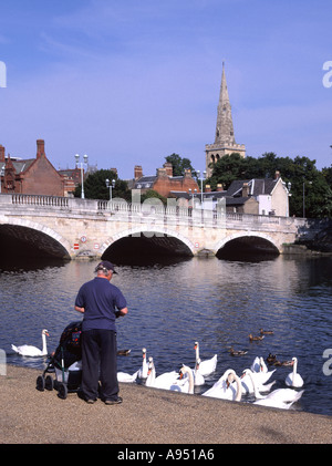 Fütterung Schwäne & ducksBedford Bedfordshire historische Fluss Ouse Bridge in der städtischen Landschaft hat Verbindungen mit Freiheitsstrafe von John Bunyon England Großbritannien Stockfoto