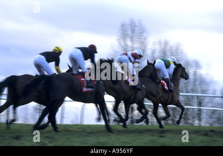 Pferderennen in Warwick Rennen, Warwickshire, England, UK Stockfoto