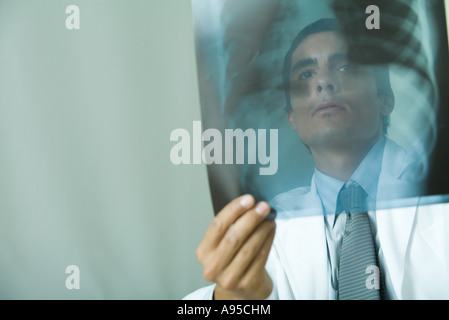 Arzt Untersuchung Röntgen, niedrigen Winkel Ansicht Stockfoto