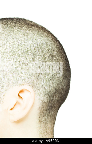 Rückseite des Mannes rasierten Kopf, Seitenansicht Stockfoto