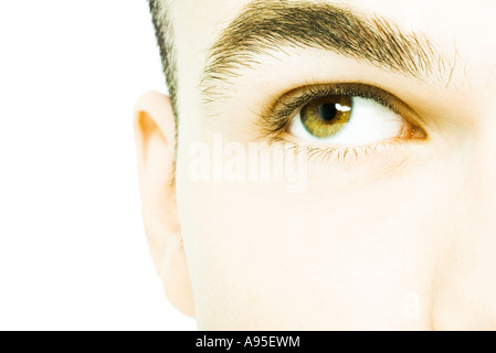 Des jungen Mannes Auge, extreme Nahaufnahme Stockfoto