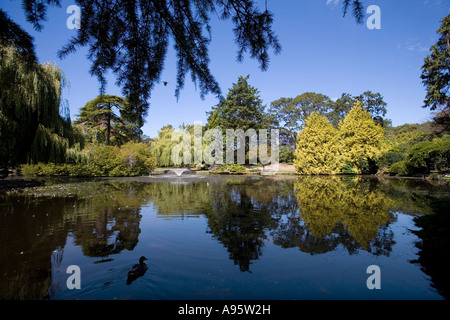 See und Bäume im Arboretum Beacon Hill Park Victoria Kanada Stockfoto