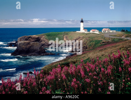 Yaquinna Head-Leuchtturm in der Nähe von Newport Oregon mit blühenden Weidenröschen Wildblumen im Vordergrund Stockfoto