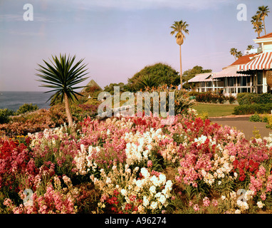 Blumengärten an Victor Hugo in Laguna Beach Kalifornien Stockfoto