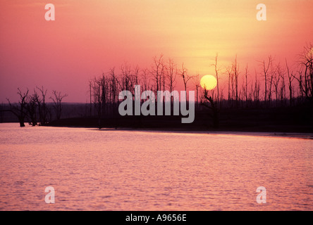 Indien goldene Madhya Pench Pradesh Fluß Flüsse Silhouette Sonne Sonnenuntergang Sonnenuntergänge Baum Bäume Wasser Stockfoto