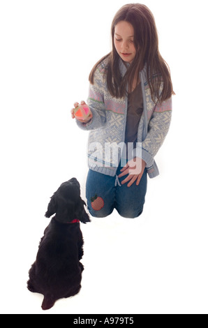 Neun Jahre alten Mädchen Züge zwei Monate alten schwarzen Cockerspaniel Stockfoto