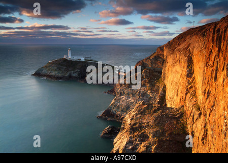 Am Abend Sonnenlicht auf South Stack Leuchtturm, Holy Island, Anglesey, Nord Wales, Vereinigtes Königreich Stockfoto